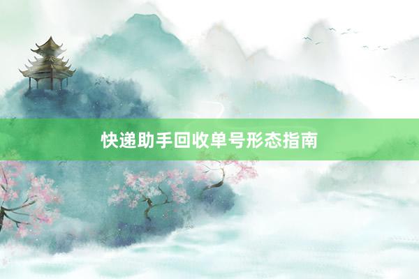 快递助手回收单号形态指南