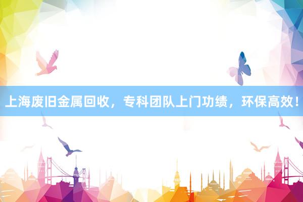 上海废旧金属回收，专科团队上门功绩，环保高效！