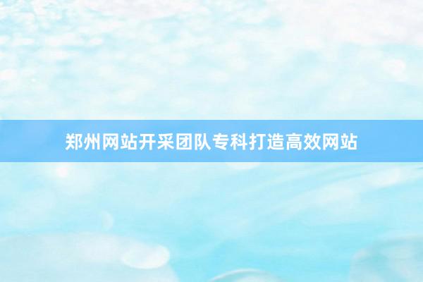 郑州网站开采团队专科打造高效网站